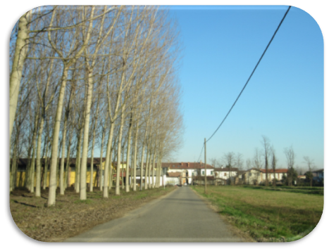 Cascina_Varesina_bis